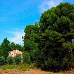 árbol-hotel-vivienda-teruel.